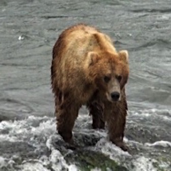 Screen Shot 2016-07-08 at 8.17.30 PM.jpg